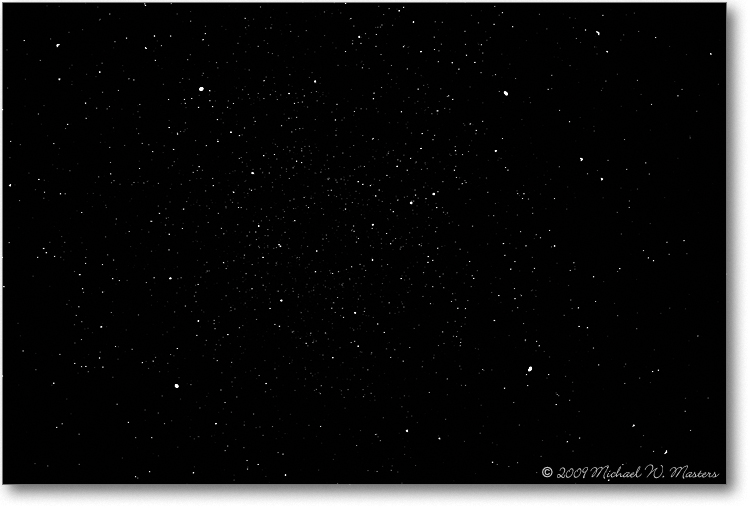 Pegasus_2009Dec_S3A0683