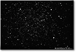 Pegasus_2009Dec_S3A0683