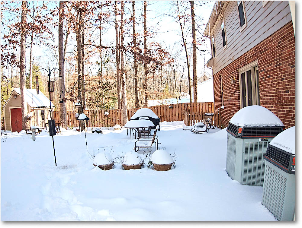 SnowStorm_2016Jan_IMG_3144 copy