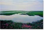 TomsCove_1992Jun_F30 copy