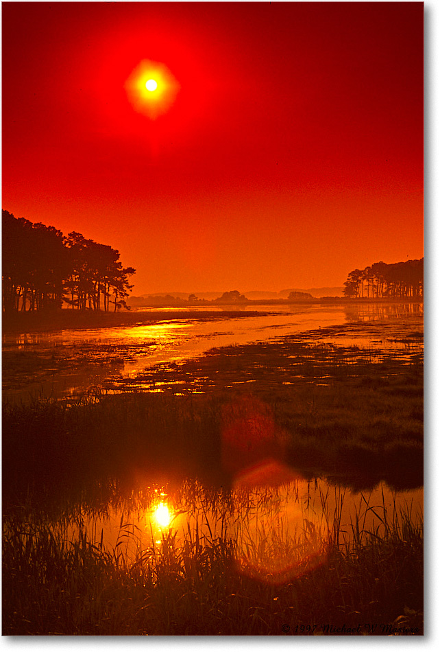 BlackDuckPool(Red)_ChincoNWR_1997Jun_F31 copy