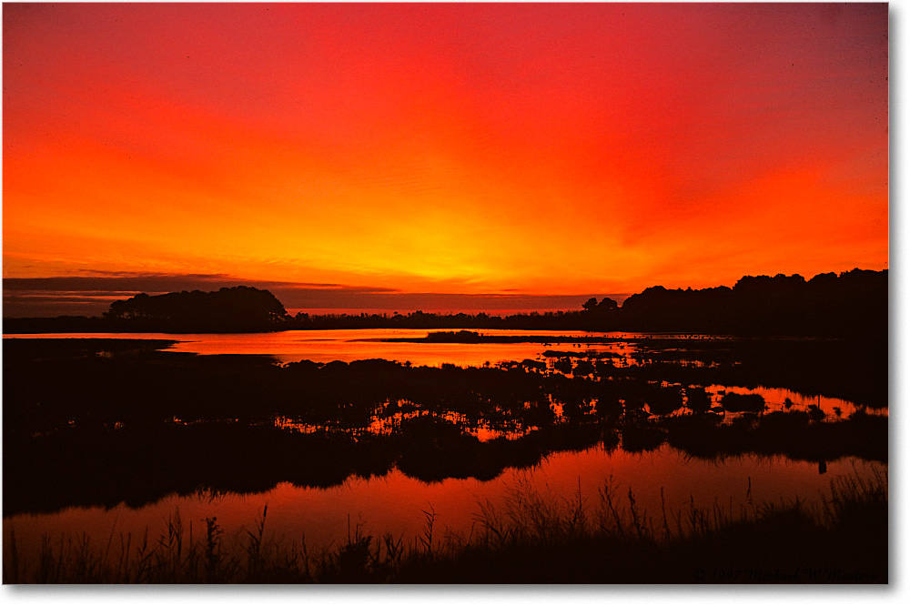 BlackDuckPool_ChincoNWR_1997Oct_K28 copy