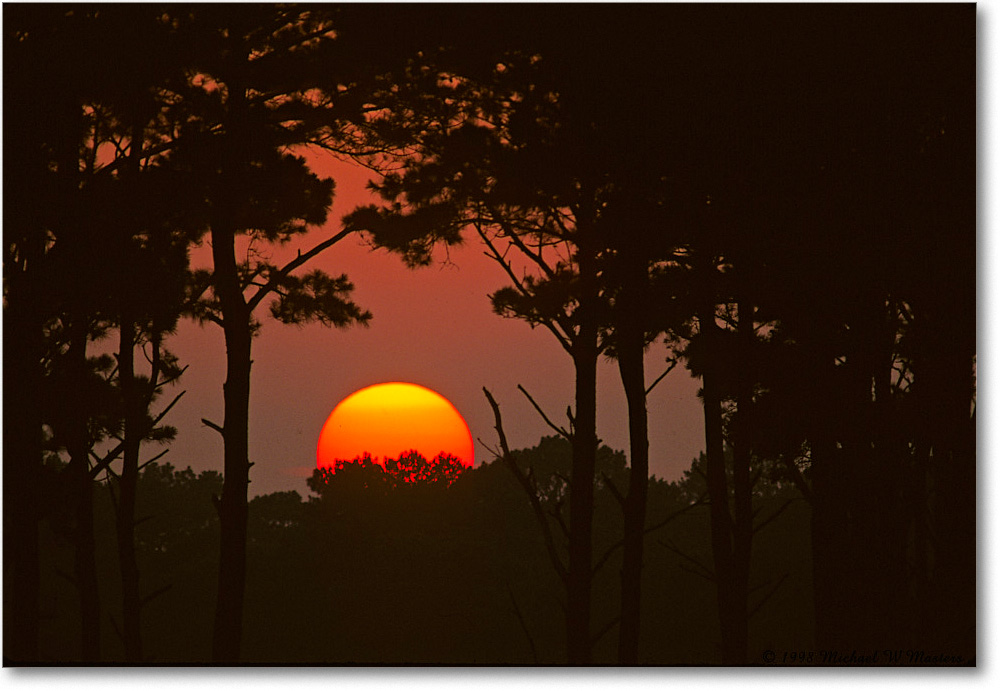 SunsetAssateagueOverlook_ChincoNWR_1998Jun_F03 copy