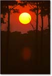 SunsetAssateagueOverlook_ChincoNWR_1998Jun_F20 copy