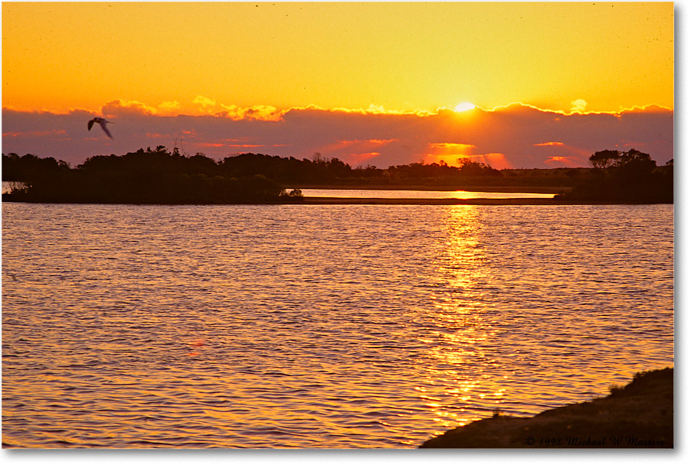 SwanCoveSunrise_ChincoNWR_1998Oct_F15 copy