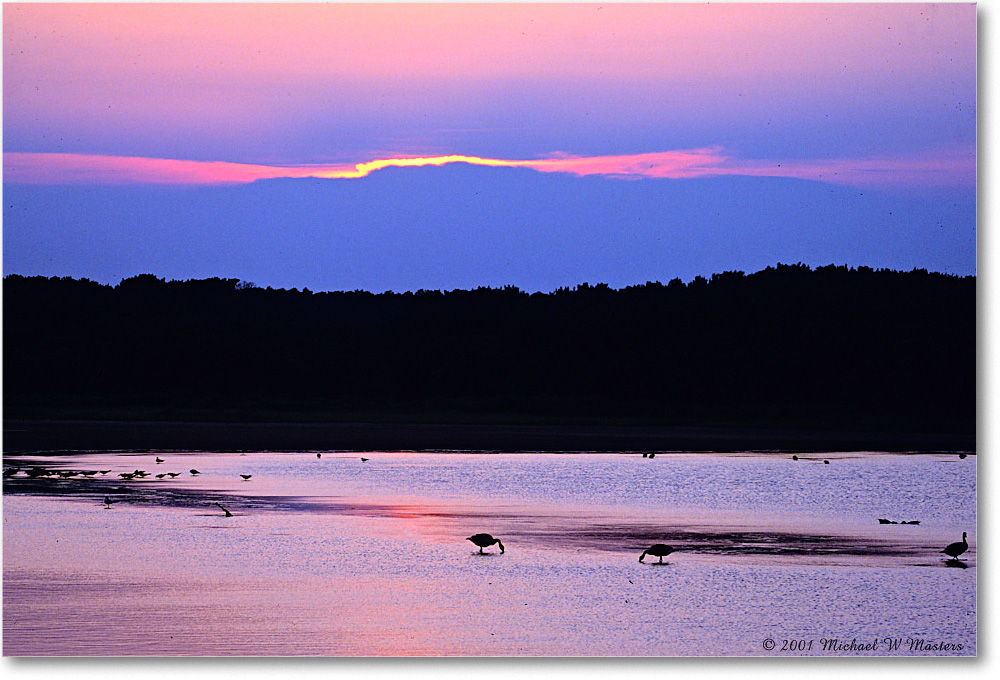 SwanCoveSunrise_ChincoNWR_2001Jun_F30 copy
