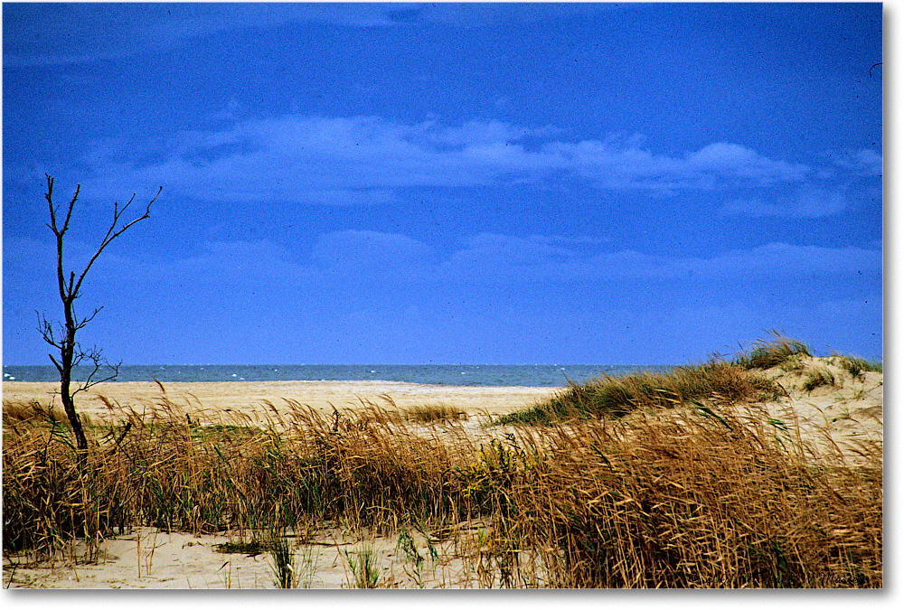 AssateagueBeach_2001Oct_F31 copy
