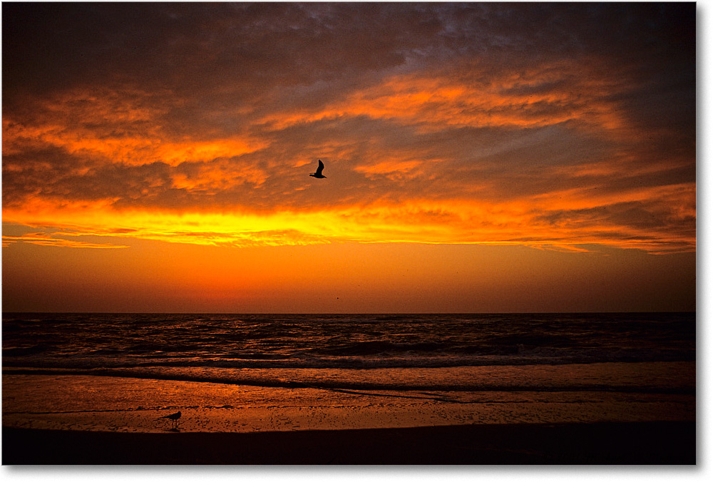 AtlanticSunrise_AssateagueBeach_2001Oct_F06 copy