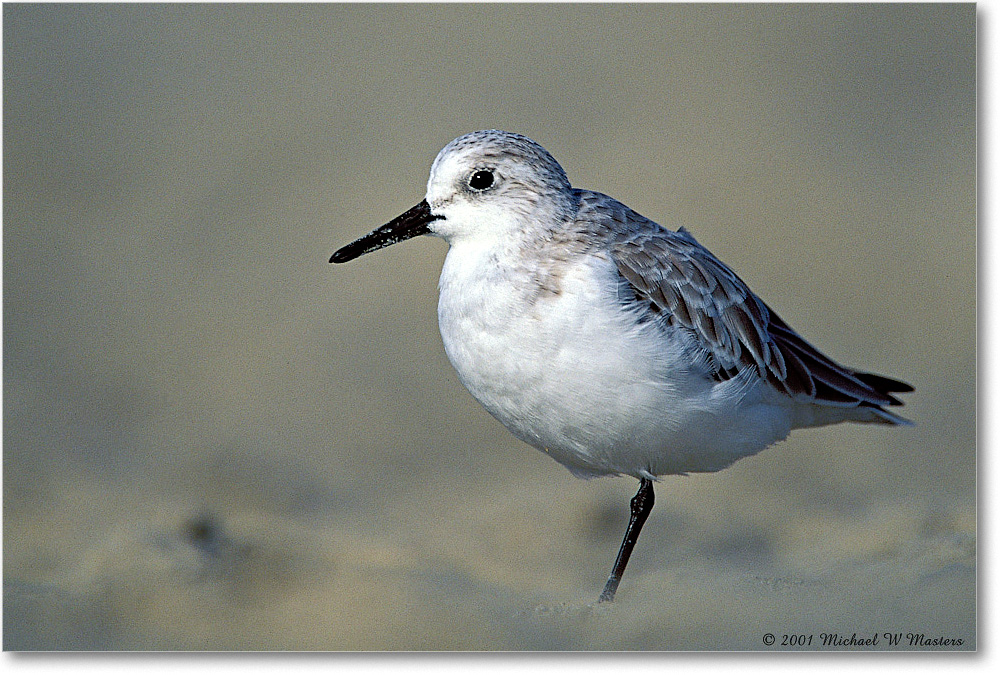 Sanderling 001-27H-p 0110 3-700-V1 M5-1000 copy