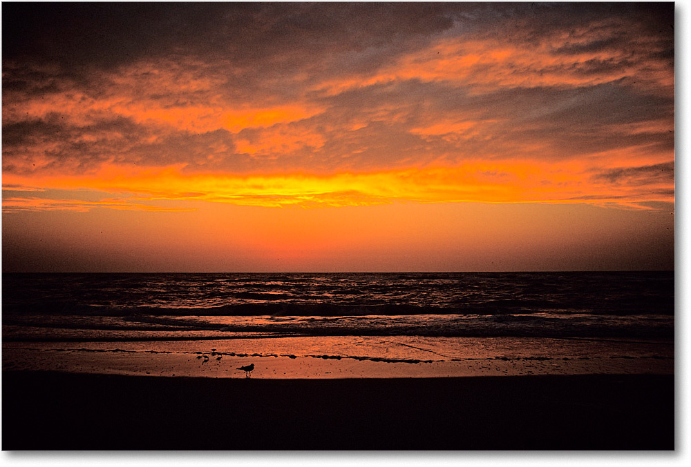 Sunrise_AssateagueBeach_2001Oct_F07 copy