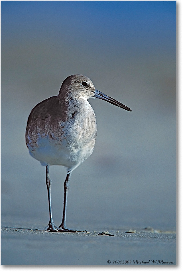 Willet 004V-34-p 0110 3-700-V1 M5-400 copy