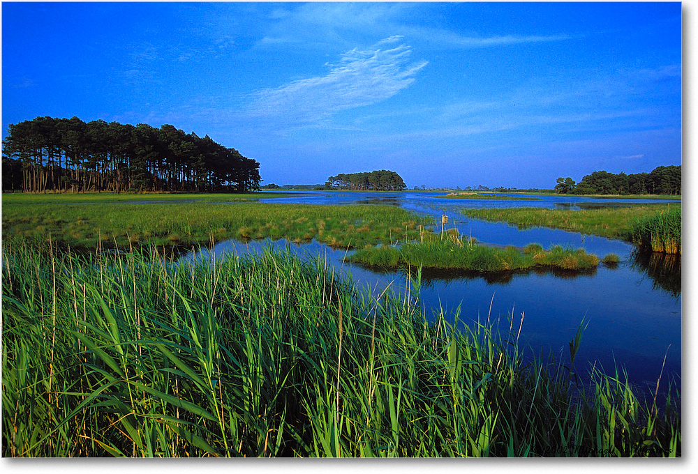 Assateague-Overlook-001-31H-0206-copy
