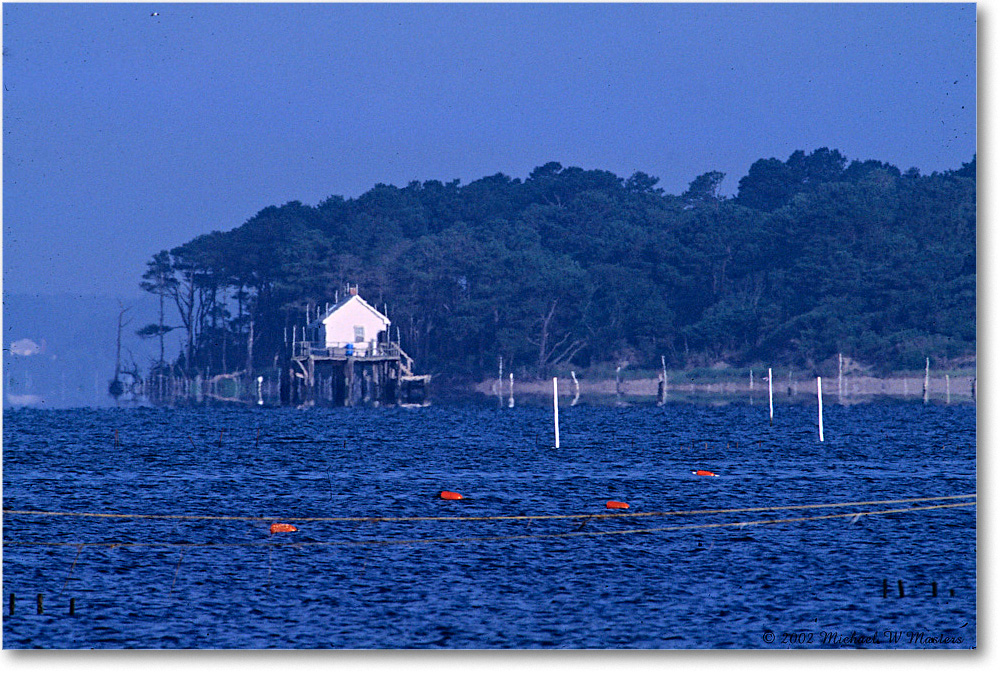 LittleTomsCove_2002Jun_F05 copy