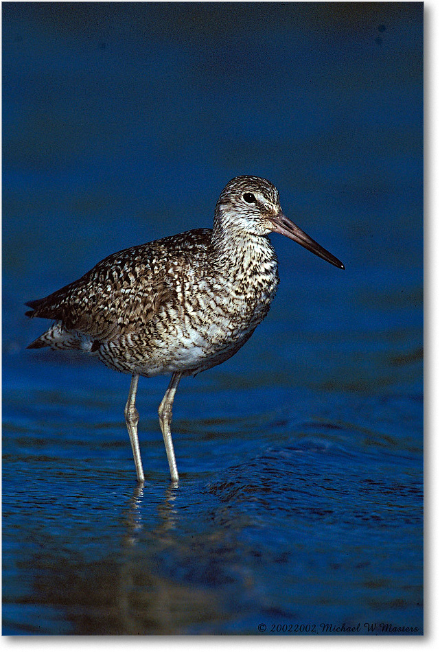 Willet 001-29V 0206 3-1200-P2 MI-8-xxx copy