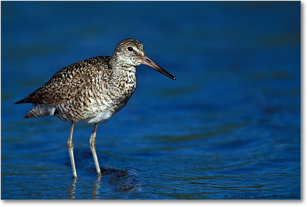 Willet 002-23H 0206 3-1200-P2 MI-8-xxx copy