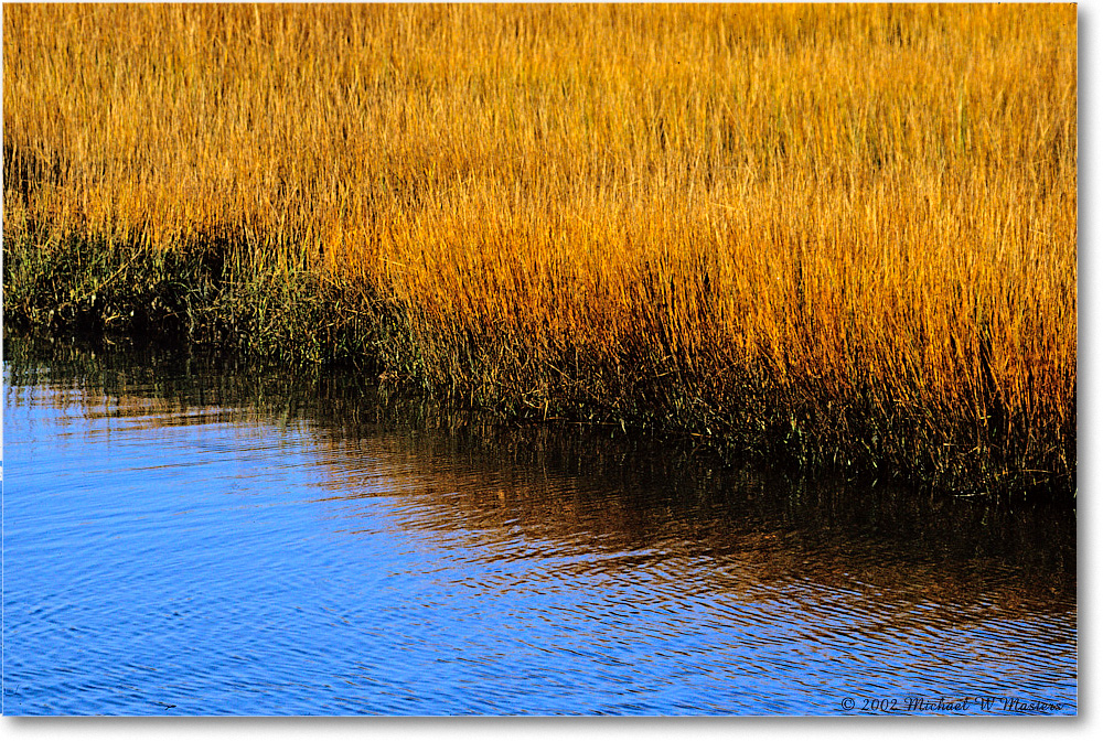 MarshGrass_ChincoNWR_2002Nov_X21 copy