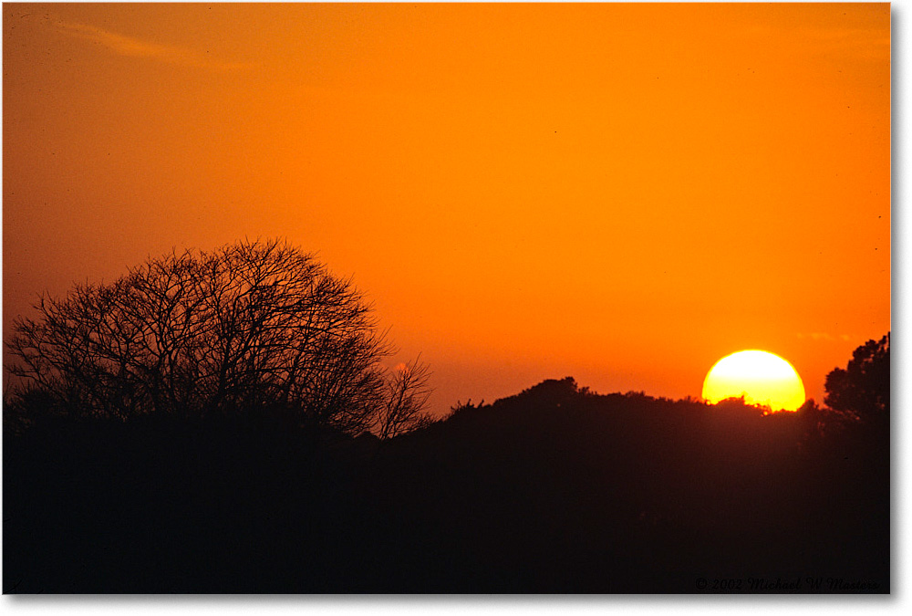 Sunrise_ChincoNWR_2002Nov_x33 copy