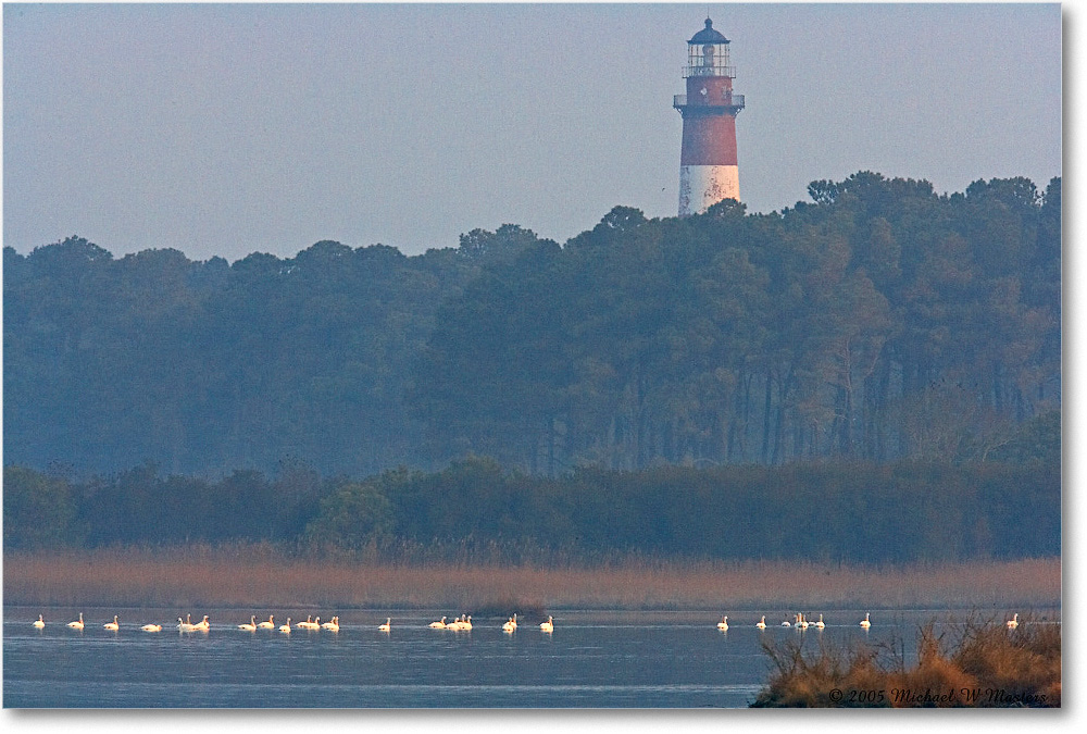 AssateagueLighthouse_ChincoNWR_2005Mar_E0K2307 copy