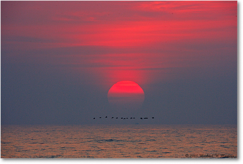 SunriseAtlantic_Assateague_2005Oct_E0K4731 copy