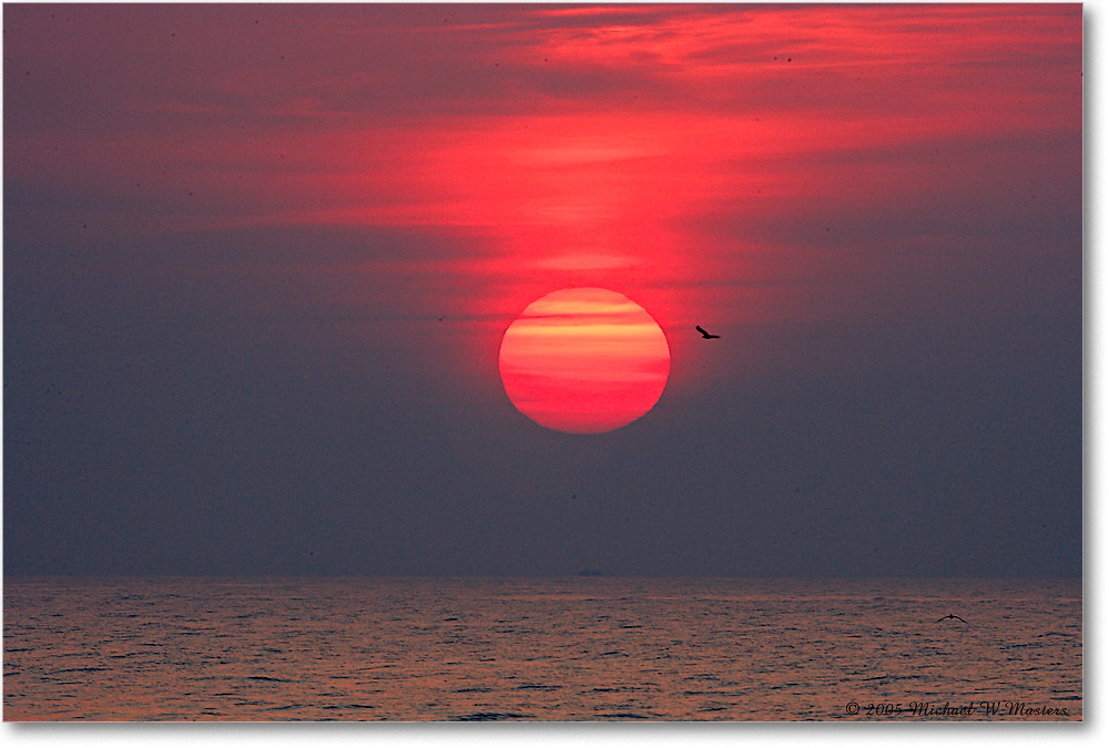 SunriseAtlantic_Assateague_2005Oct_E0K4761 copy