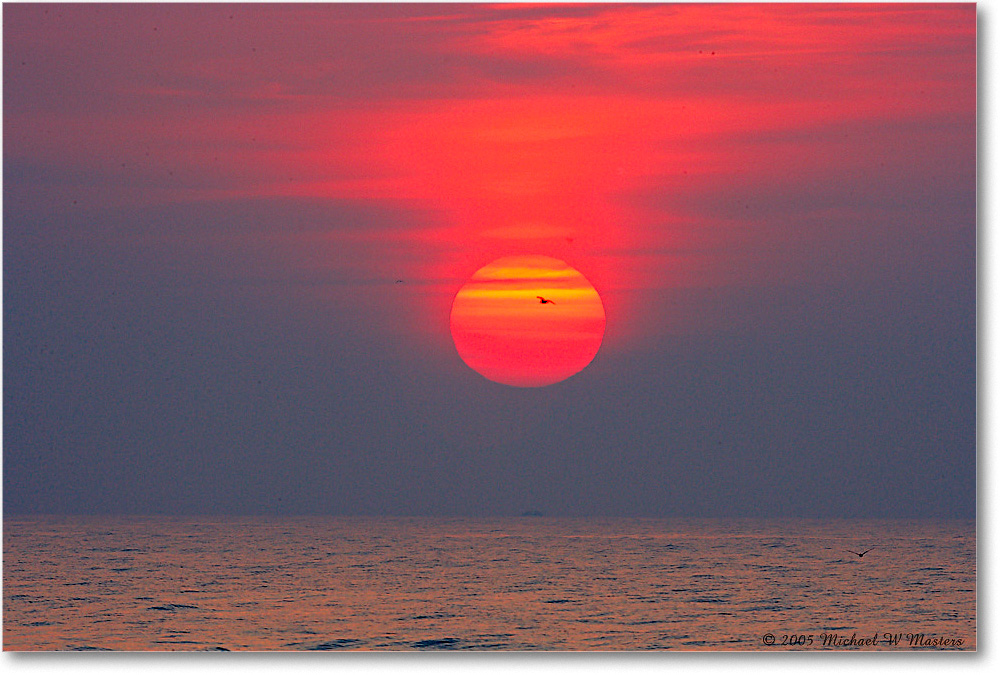 SunriseAtlantic_Assateague_2005Oct_E0K4763 copy
