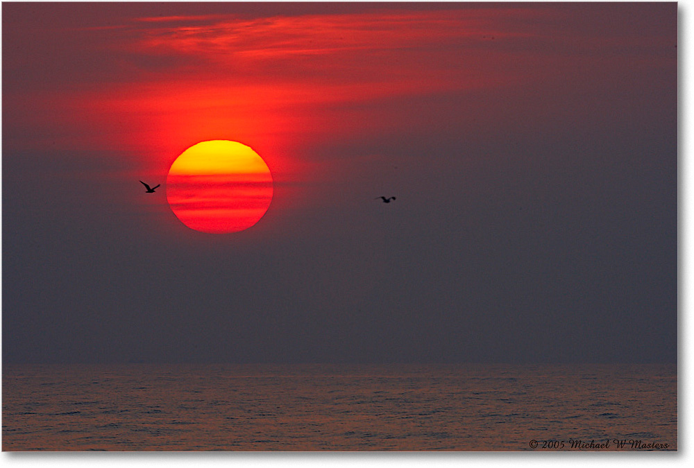 SunriseAtlantic_Assateague_2005Oct_E0K4795 copy