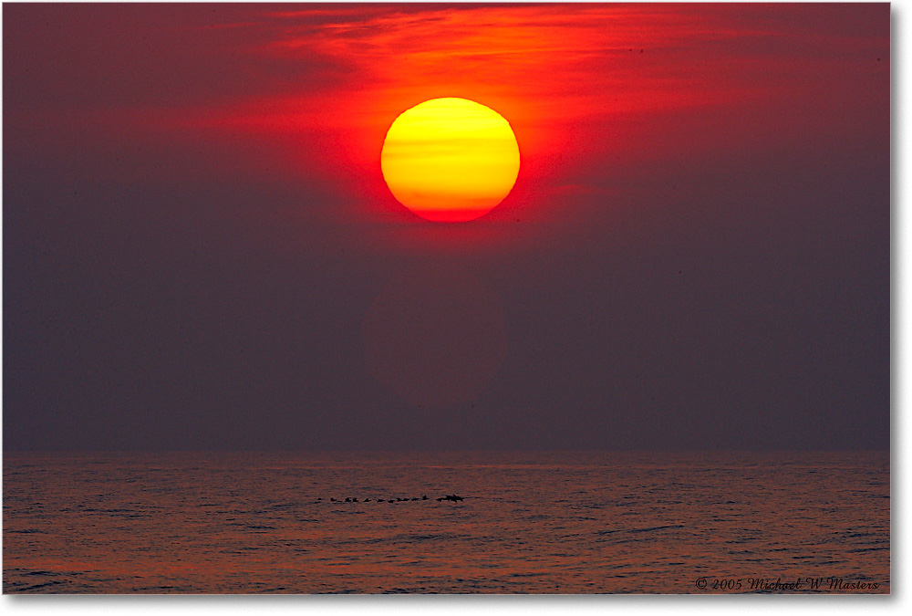SunriseAtlantic_Assateague_2005Oct_E0K4806 copy