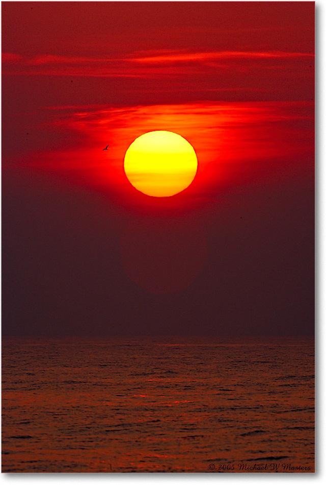 SunriseAtlantic_Assateague_2005Oct_E0K4820 copy