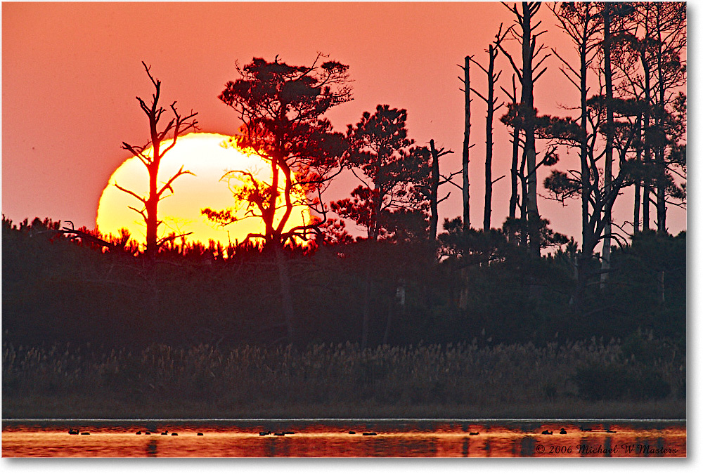 Sunrise_ChincoNWR-wll_2006Nov_E0K8498 copy