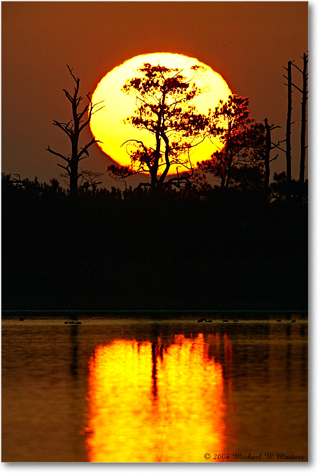 Sunrise_ChincoNWR-wll_2006Nov_E0K8505 copy