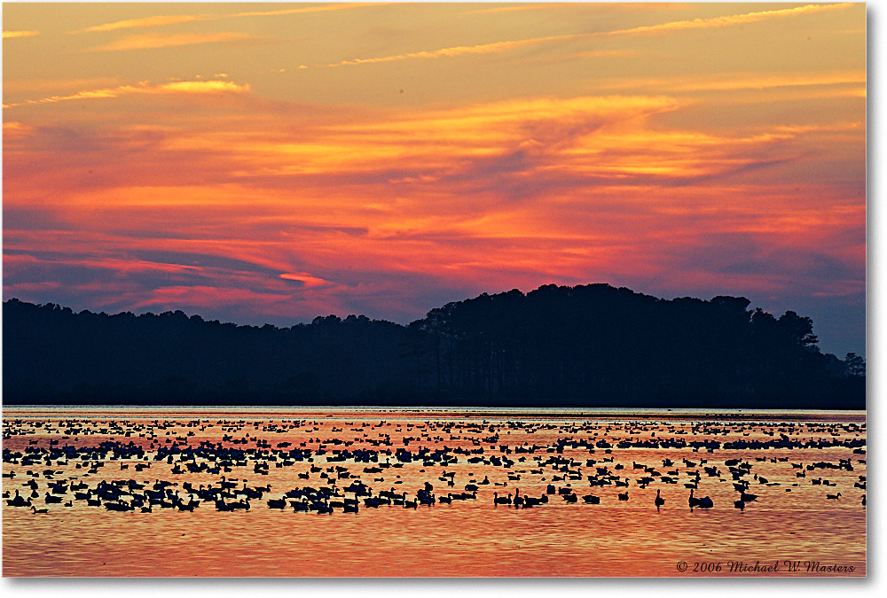 Sunset_ChincoNWR-wll_2006Nov_Y2F1092 copy