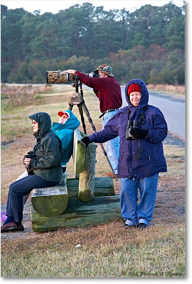 SnowGooseWatchers_ChincoNWR-wll_2008NovVE0K9381 copy