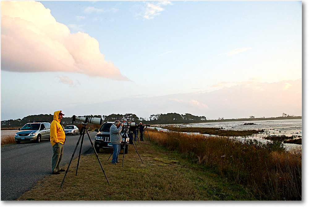 SnowGooseWatchers_ChincoNWR-wll_2008NovVE0K9391 copy