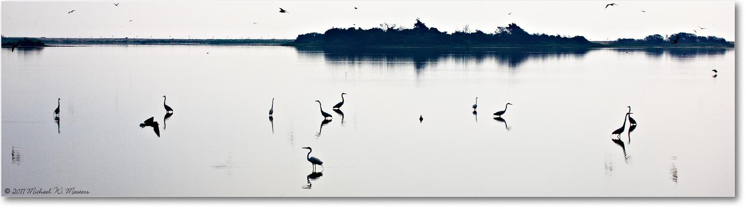 EgretScapeWide-ChincoNWR-2011June_S3A7485
