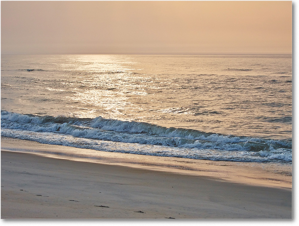 Beach-Assateague-2014June_IMG_2756 copy