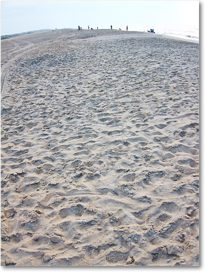 Beach-Assateague-2014June_IMG_2758 copy
