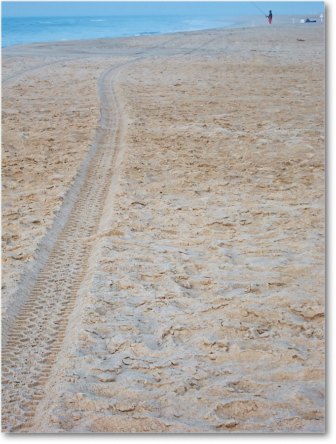Beach-Assateague-2014June_IMG_2760 copy