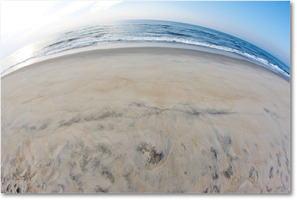 Beach-Assateague-2014June__S3A8044 copy