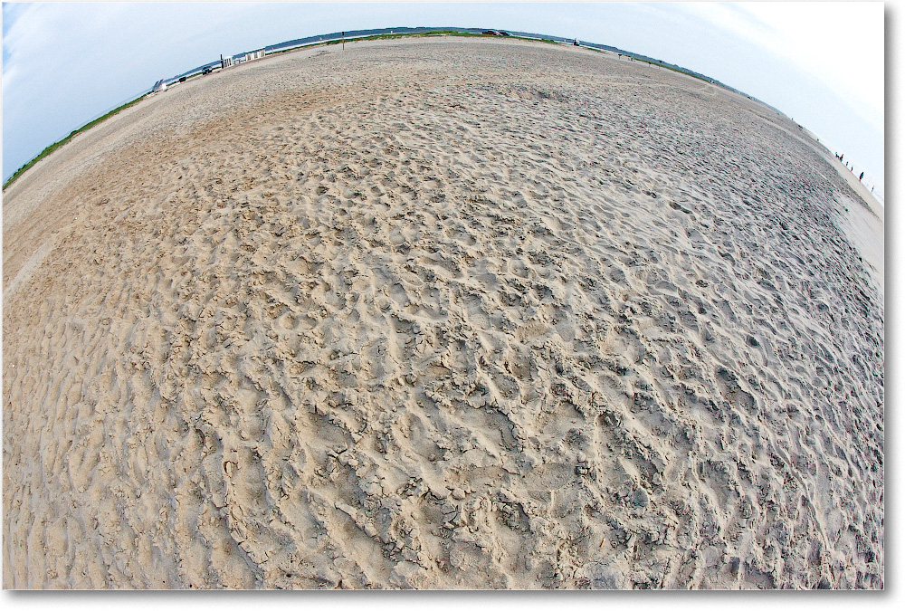 Beach-Assateague-2014June__S3A8047 copy