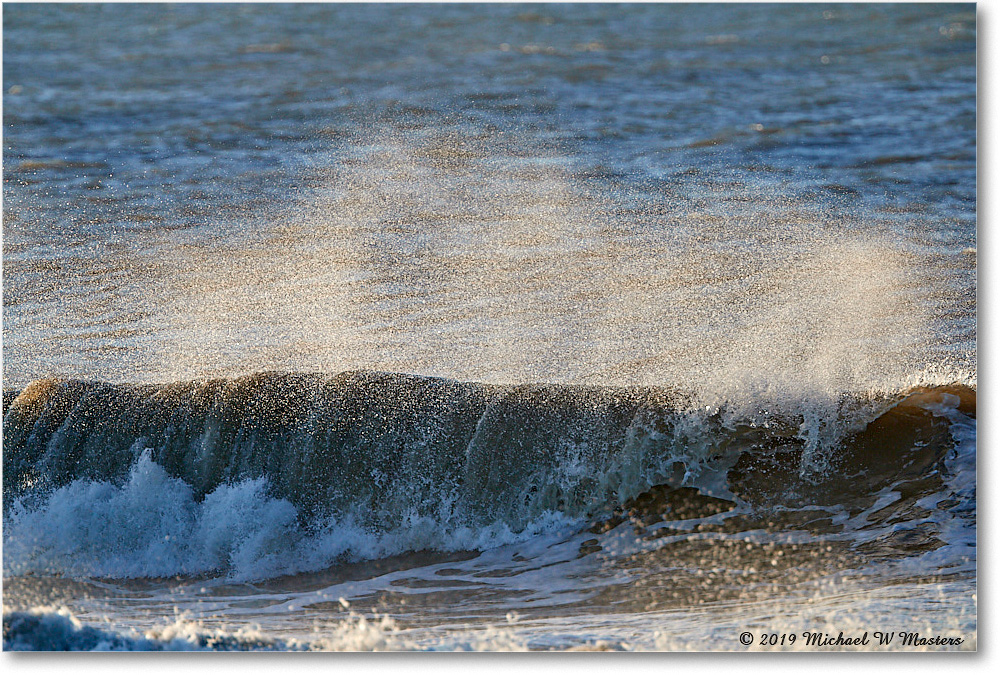 SurfSpray_Assateague_2019Jun_4DXB6451 copy