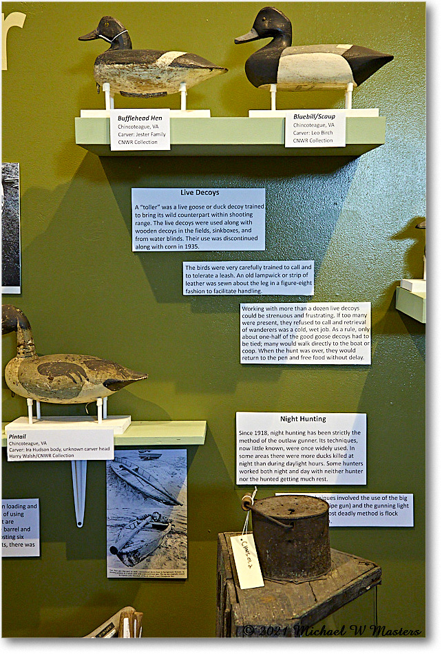 ChincoteagueMuseum_2021Jun_5DA02891 copy
