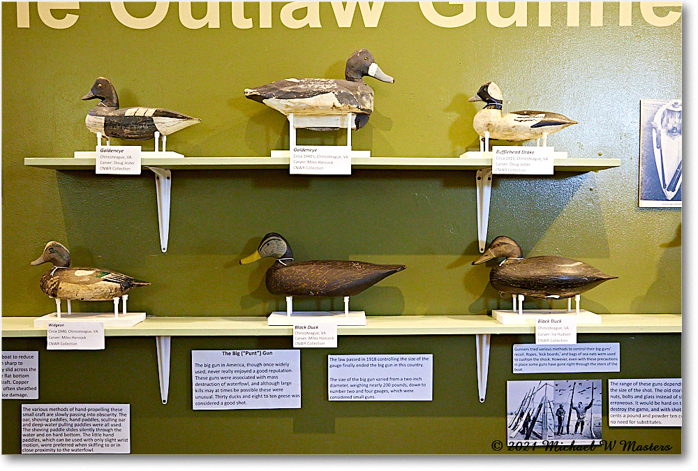 ChincoteagueMuseum_2021Jun_5DA02892 copy