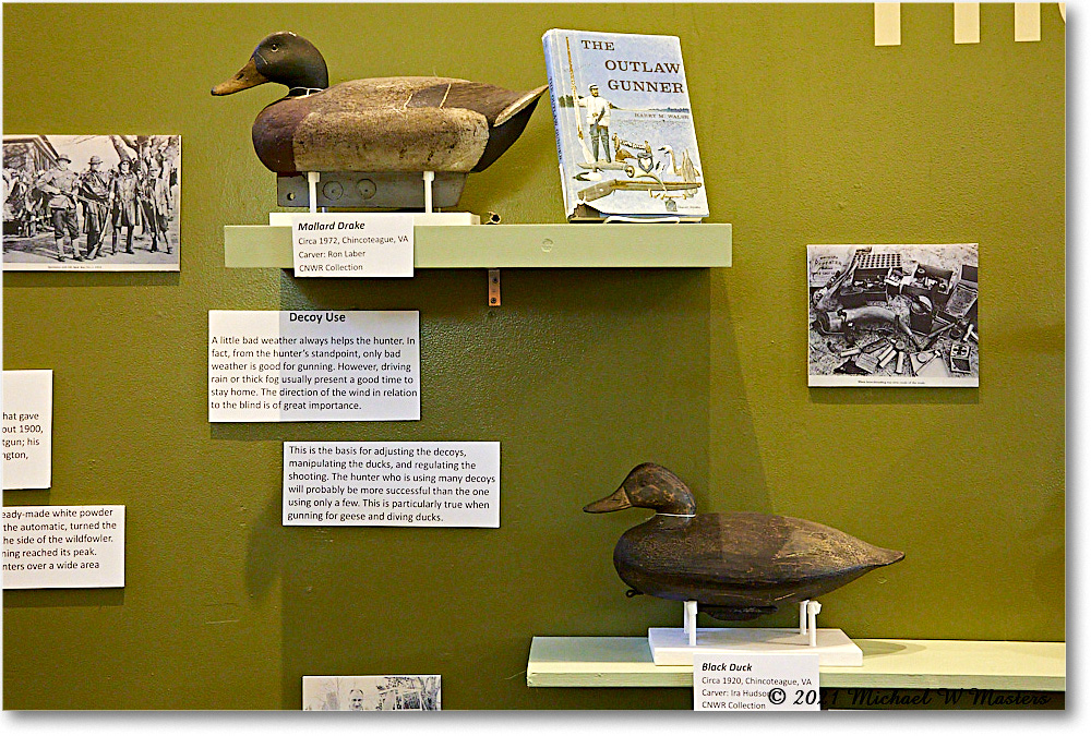 ChincoteagueMuseum_2021Jun_5DA02893 copy