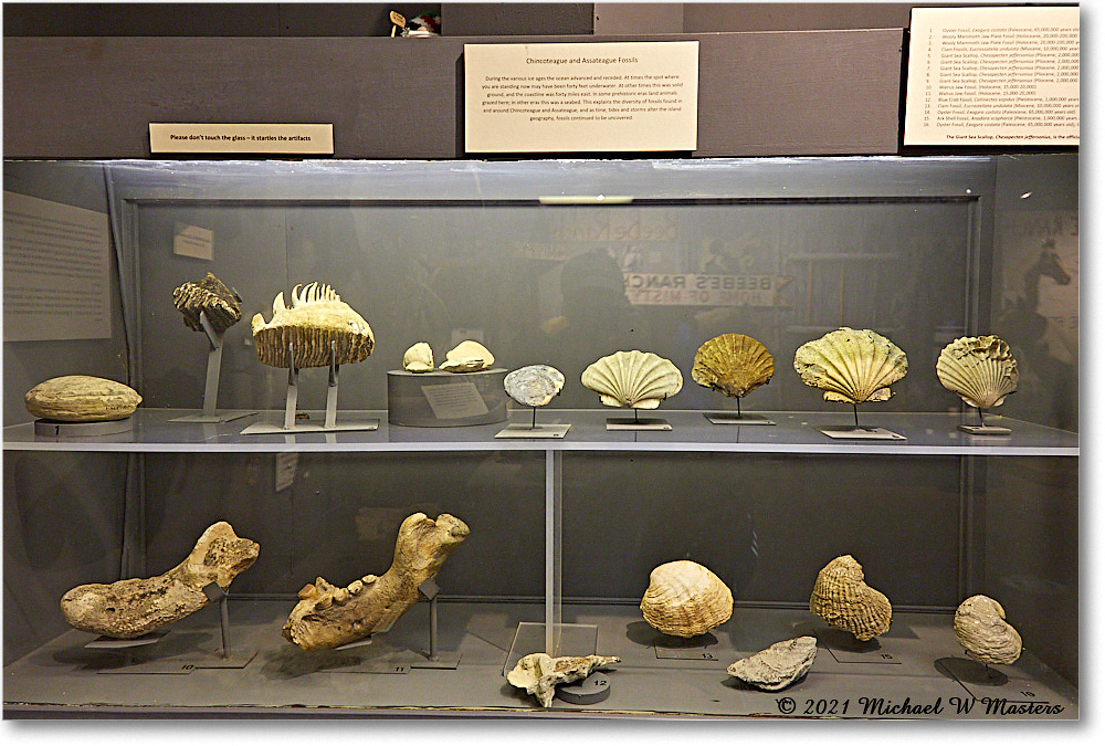 ChincoteagueMuseum_2021Jun_5DA02900 copy