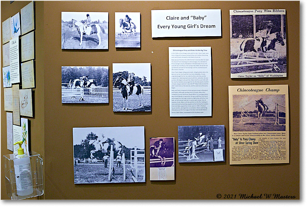 ChincoteagueMuseum_2021Jun_5DA02933 copy