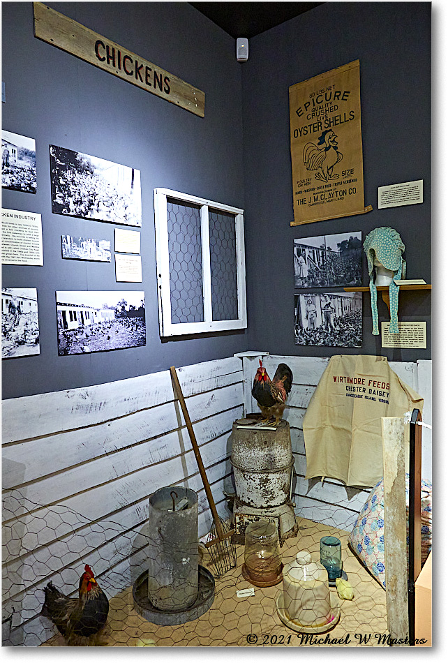 ChincoteagueMuseum_2021Jun_5DA02959 copy