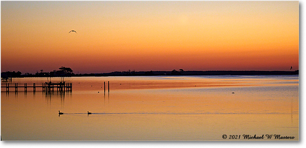 SunriseGeese_OysterBay_2021Jun_5DA03005 copy