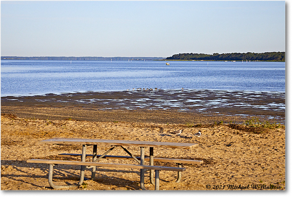TomsCove_Assategue_2021Jun_5DA02858 copy