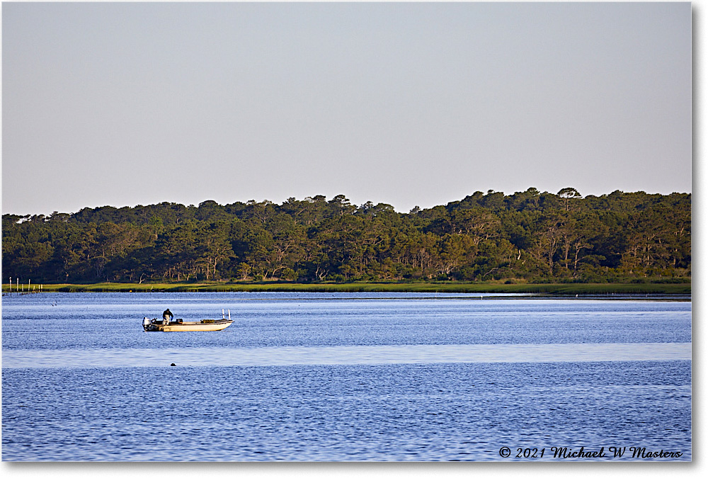 TomsCove_Assategue_2021Jun_5DB02357 copy