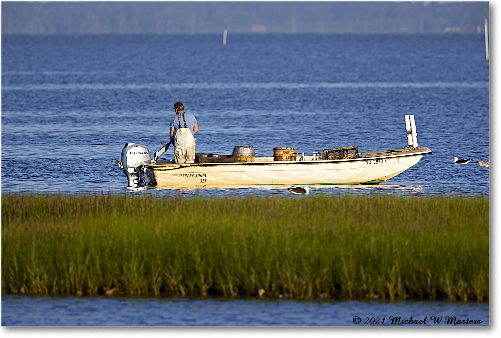 TomsCove_Assategue_2021Jun_R5B01385 copy